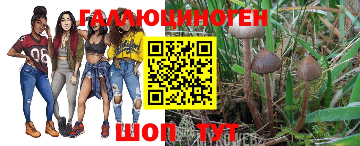 Псилоцибиновые грибы Magic Shrooms Казань