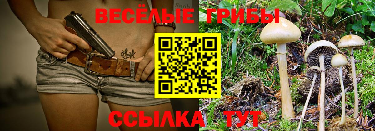 Казань  Галлюциногенные грибы MAGIC MUSHROOMS  Вход с VPN 